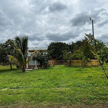 Affittacamere Maria'S Tiny Barn Homestead Esterno foto