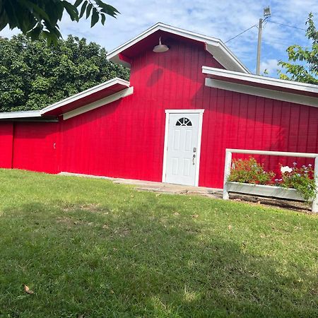 Affittacamere Maria'S Tiny Barn Homestead Esterno foto