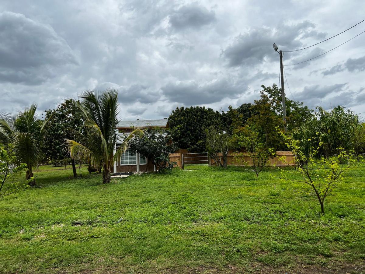 Affittacamere Maria'S Tiny Barn Homestead Esterno foto