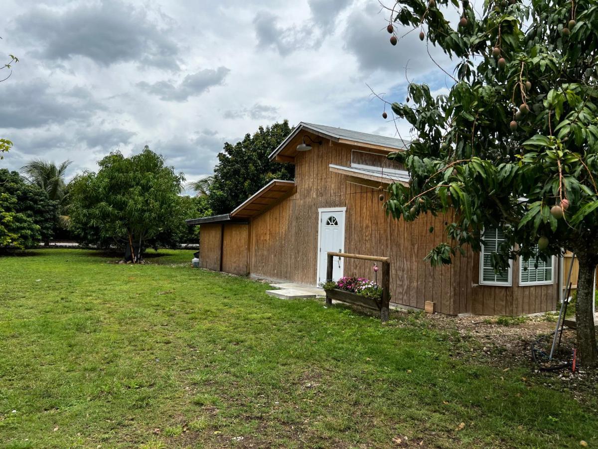Affittacamere Maria'S Tiny Barn Homestead Esterno foto